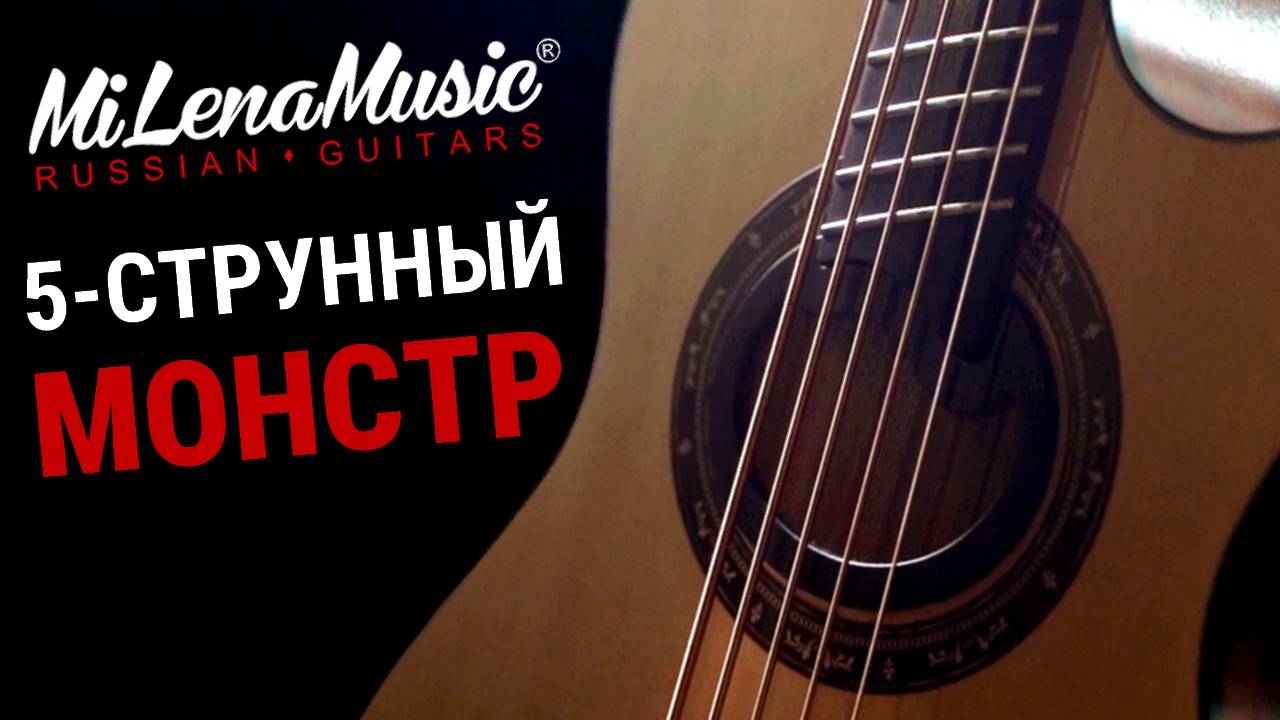 5-СТРУННЫЙ МОНСТР! | MiLena Music® | Обзор на 5-струнную акустическую бас-гитару