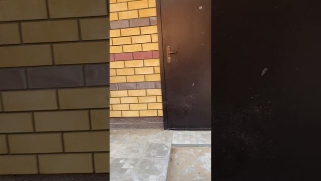 5d9354626d8352643878be6b4821db94