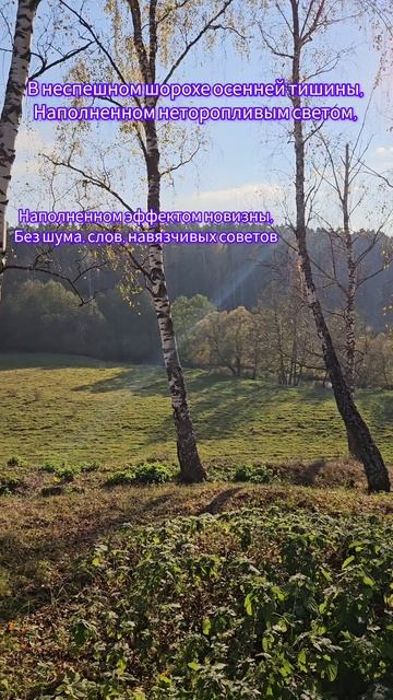 Осенняя тишина