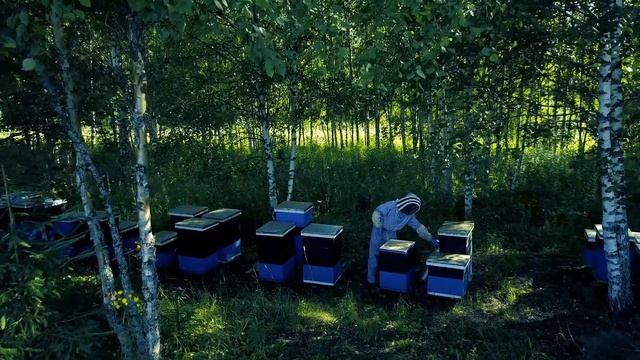 Activity Village Семейная пасека Думченко