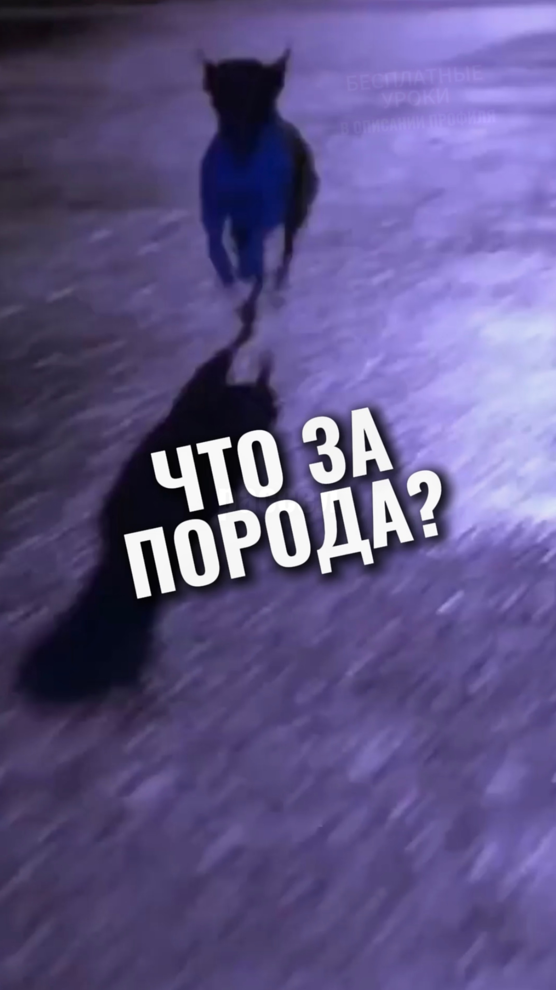 🎁Бесплатные уроки. Жми сюда!