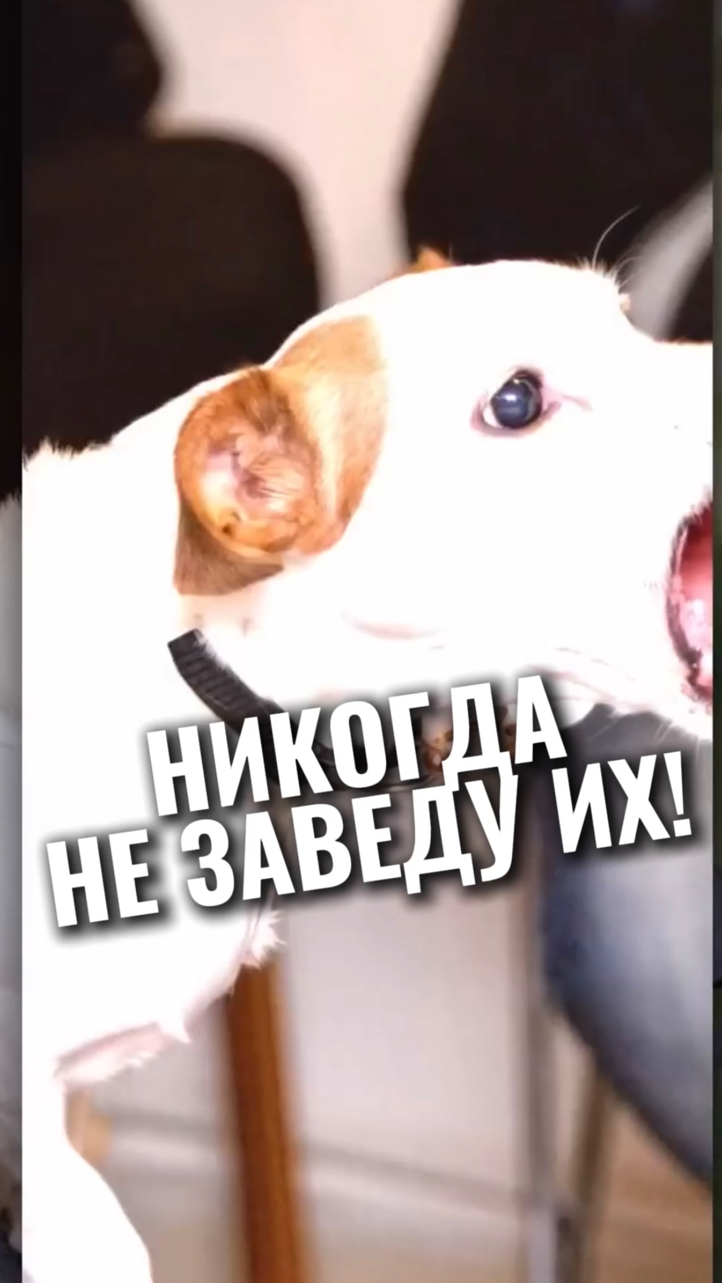 🎁Бесплатные уроки. Жми сюда!