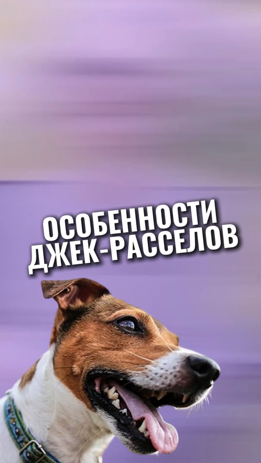 🎁Бесплатные уроки. Жми сюда!