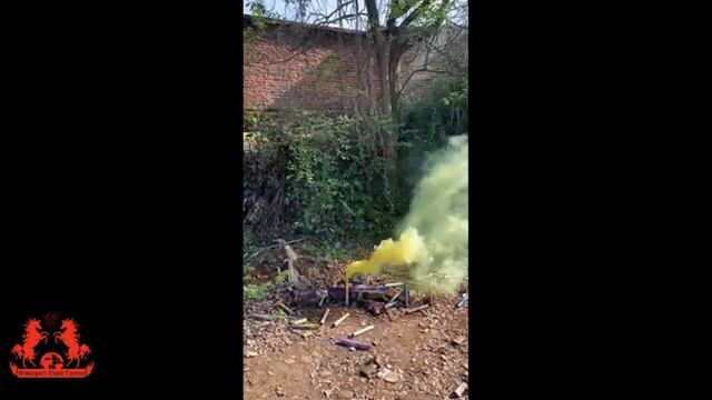 WPS-83 ФАЙЕРБОЛ желтый