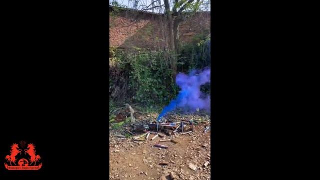 WPS-85 ФАЙЕРБОЛ синий