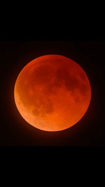 Df76cafe2ad94e97fb056a941f25d1ea