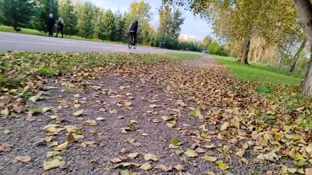 СЛЁЗЫ (старая песня). КРУОЛЕ. 1982 год