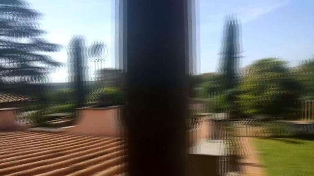 Summer 2019 (in Trip)