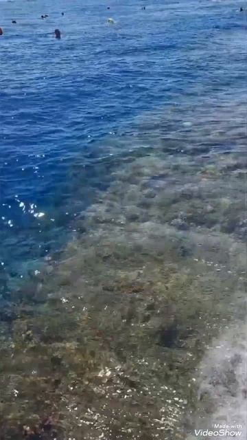 Club Reef Resort пляж 2024