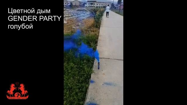 WPS-75 цветной дым GENDER PARTY синий