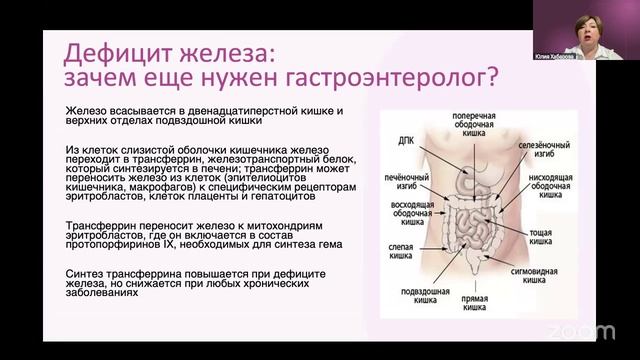 Пациент с дефицитом железа на приёме гастроэнтеролога