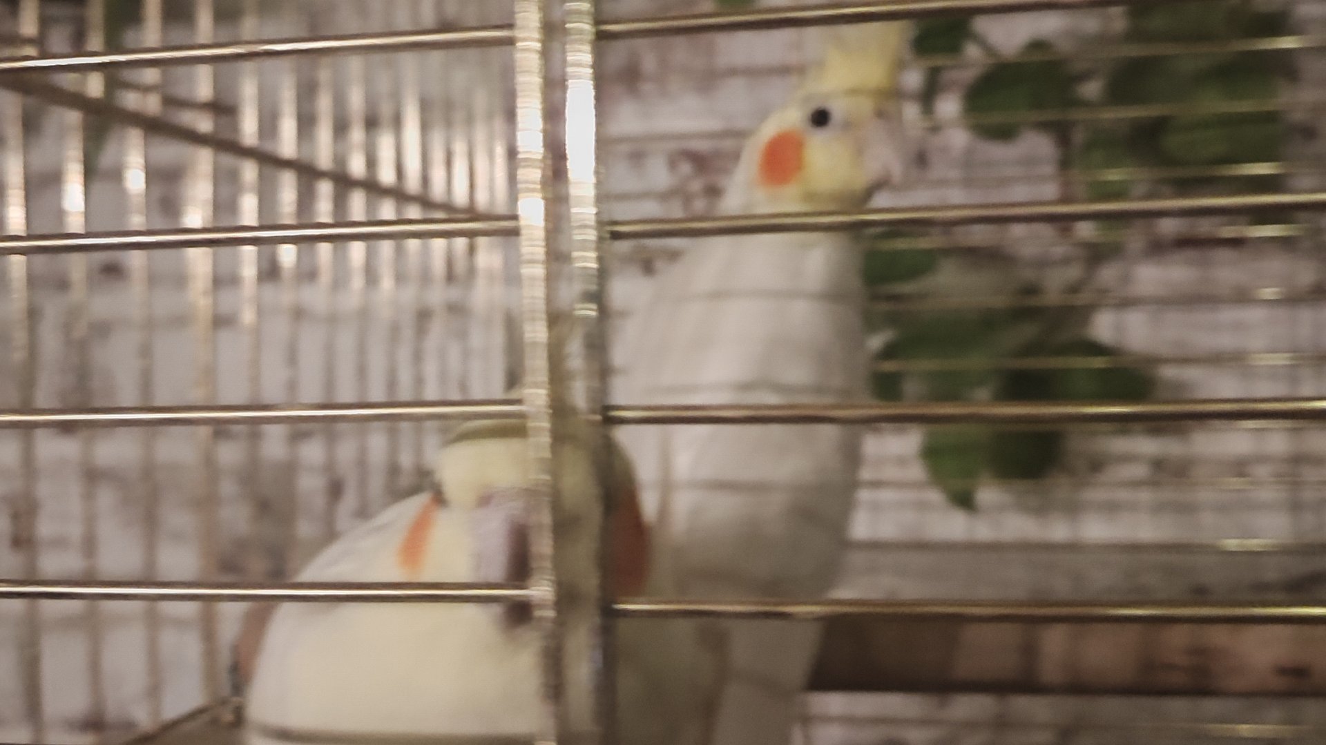 Я всегда возвращаюсь всем привет простите что так долго меня не было!;)