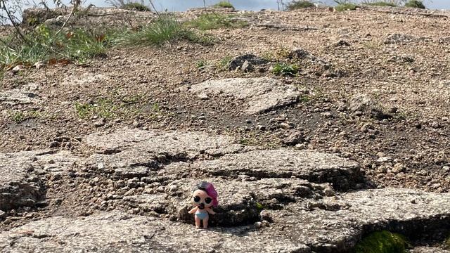 9e7f6eb7b3ddc745018c0f7c029436ce