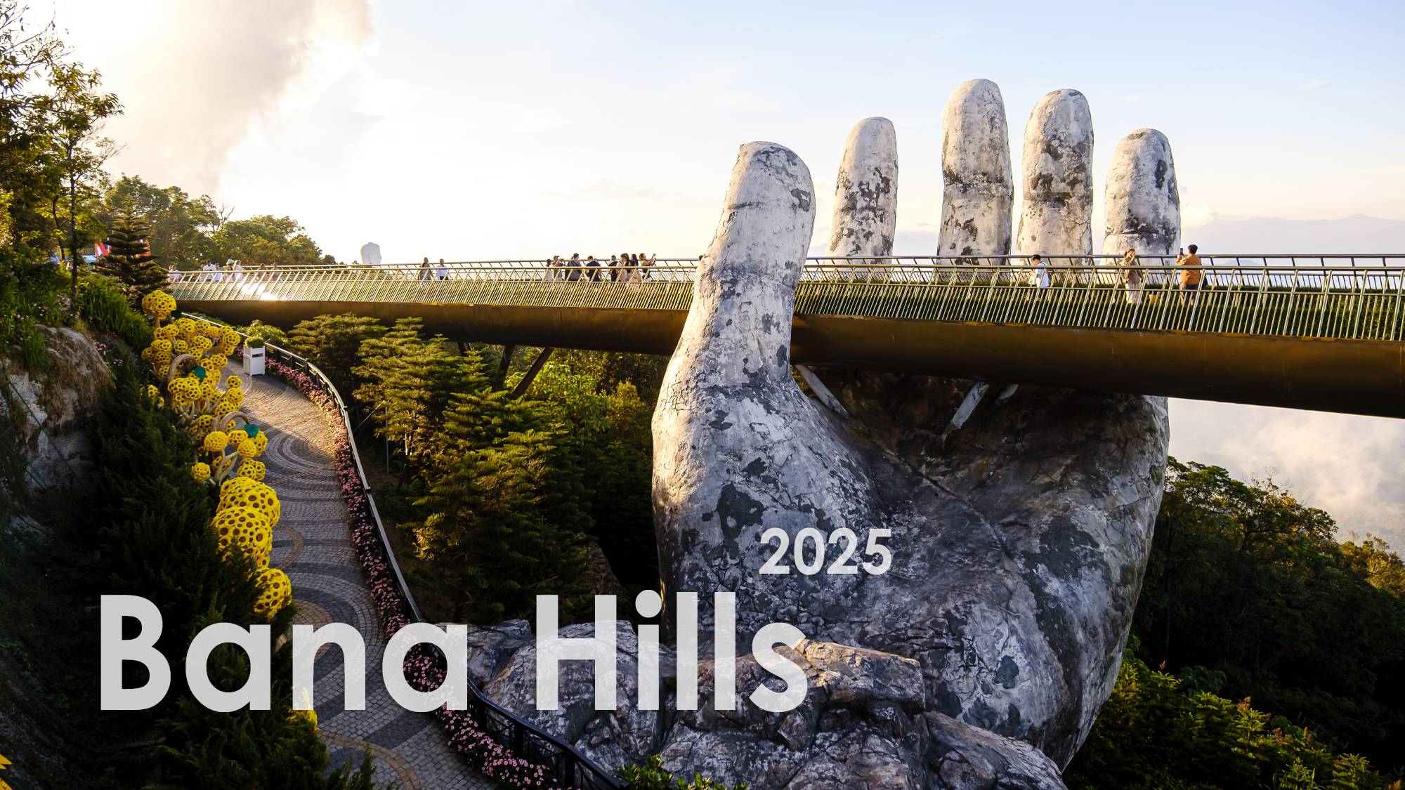 85e12abdbf61040fc477b6238ded8748