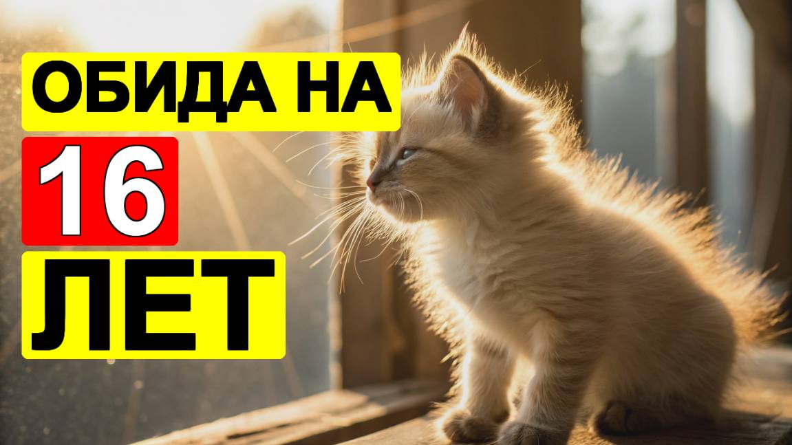 😿 Почему ваша кошка вас НЕНАВИДИТ ошибки, которые нельзя исправить