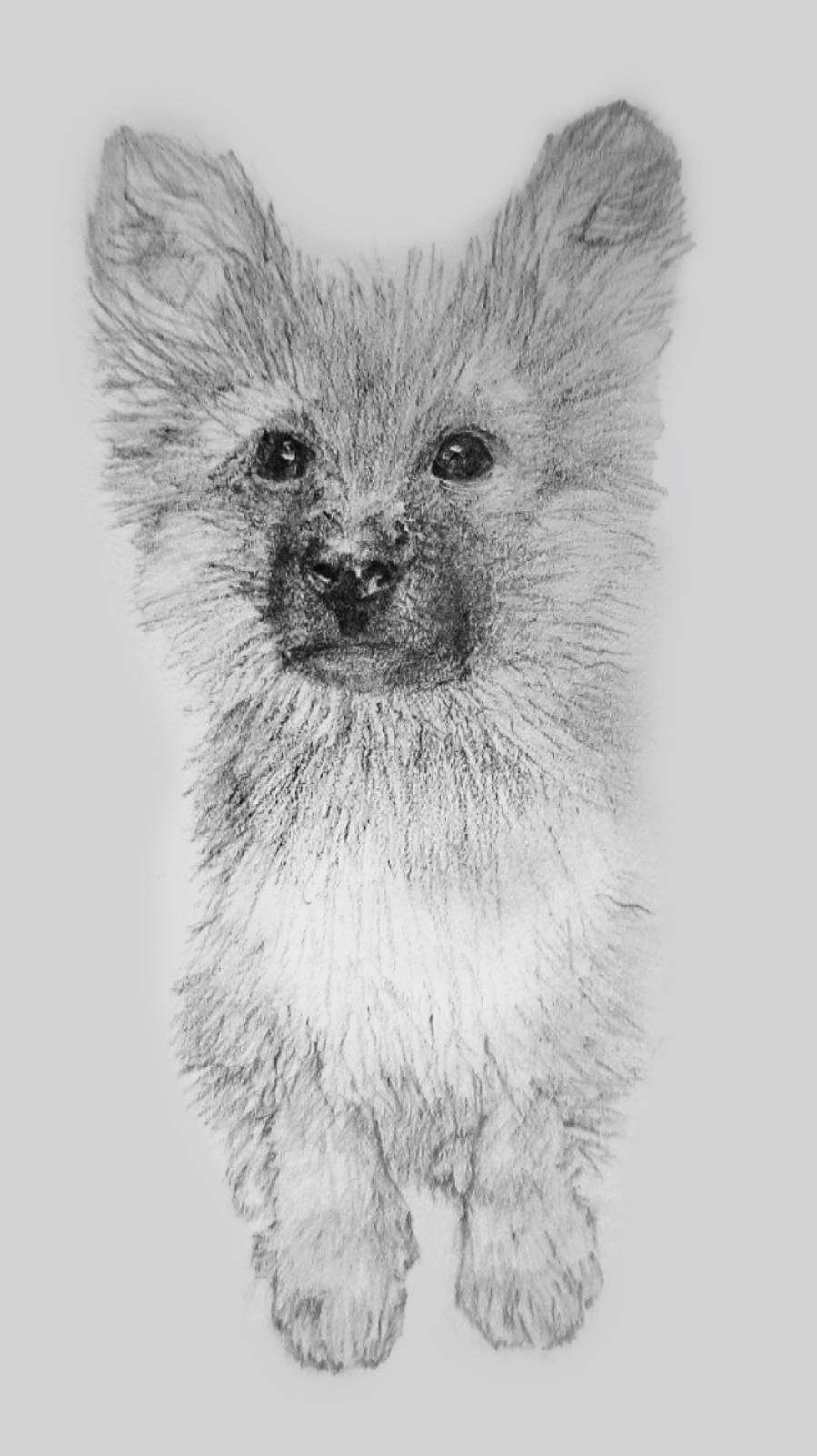 Идеи для скетчбука #dog #puppy #шортс #drawing #sketch