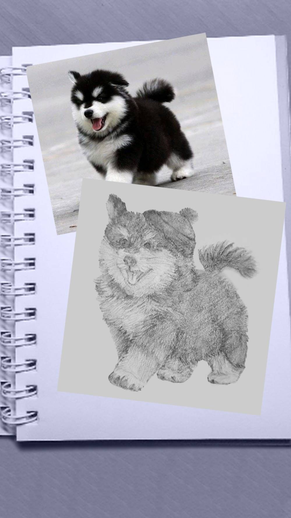 Идеи для творчества: Хаски.. в шапке #шортс #drawing #art #скетч #рисунок #shorts #painting