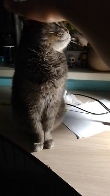 4ace5a0d248ddaebfa8617b213207a50