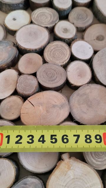 Спилы 043 - 200 штук  VID_20250913_113739