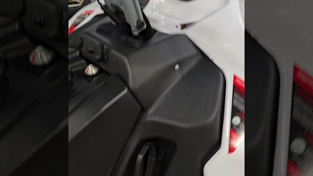 Снегоход Stels Ставр MS600 WT ST Lux