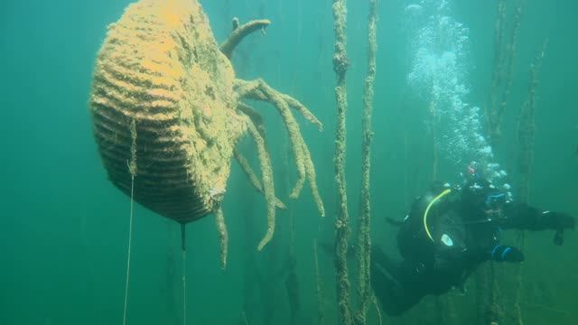 13.09.2025 в Спас Каменке. Учимся отдыхаем 4К
