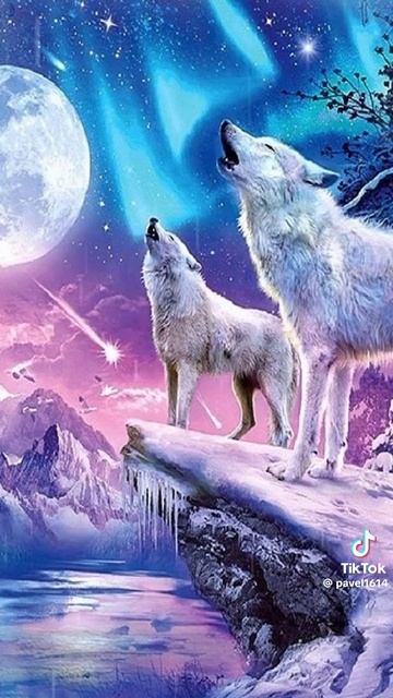 A35b4171f5a0d65687e3e350d780e5f9