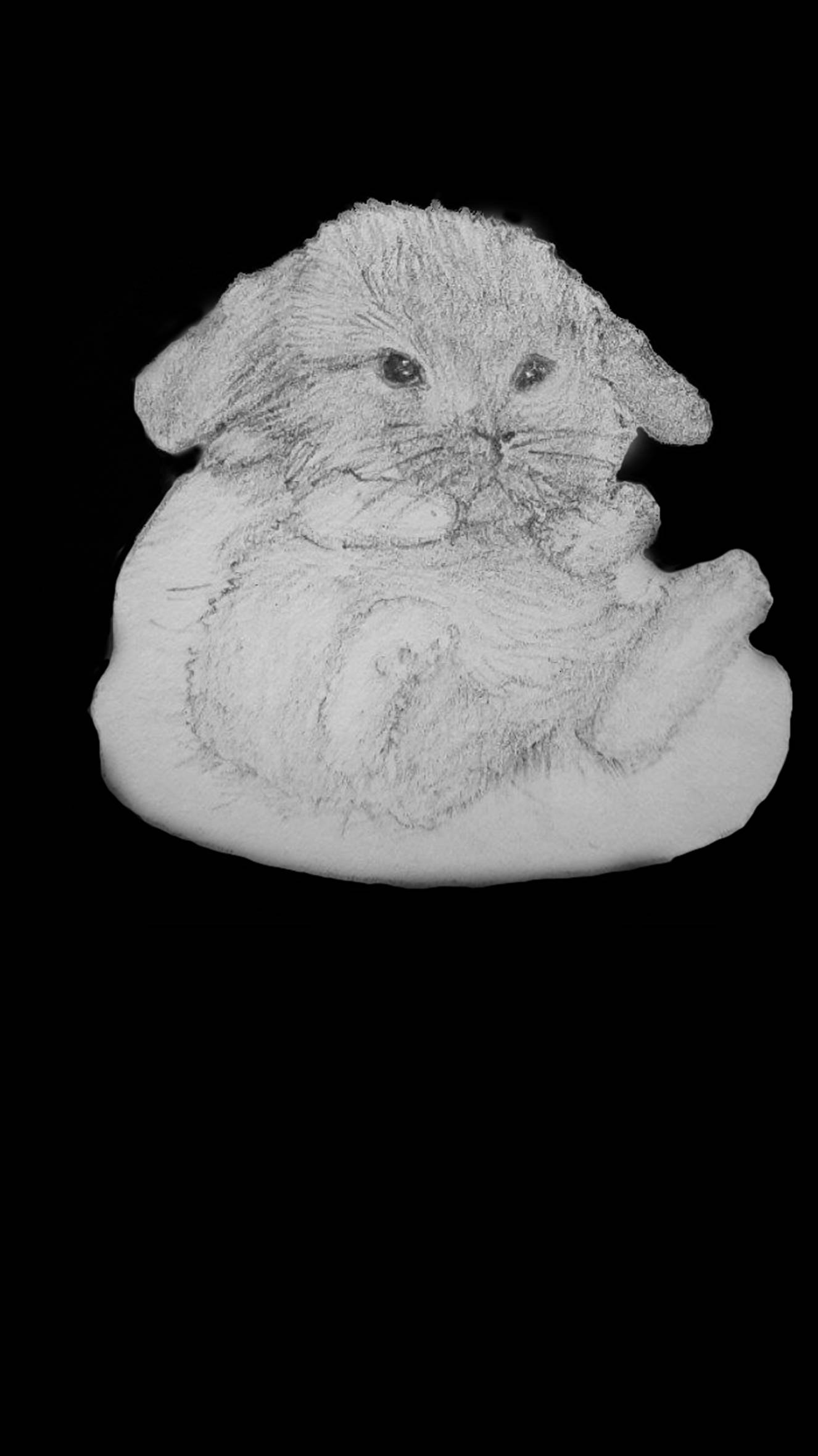 Идеи для творчества: Заяц мелом #art #drawing #скетч #рисунок#shorts