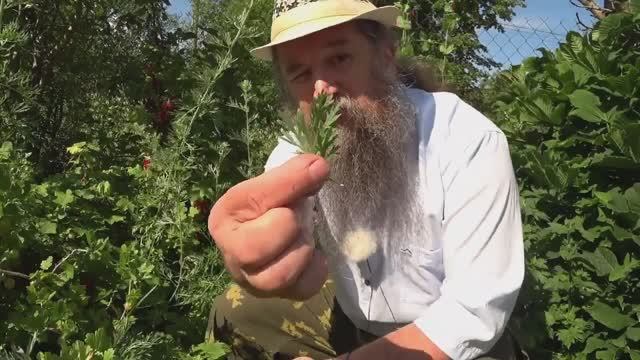 D54eb2bc4ef07d8f32de5376542b8d4a