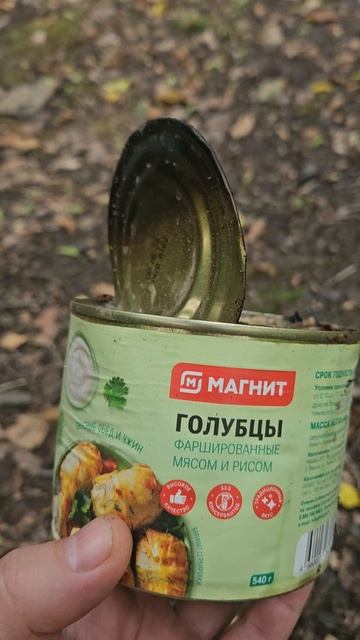 Голубцы из Магнита