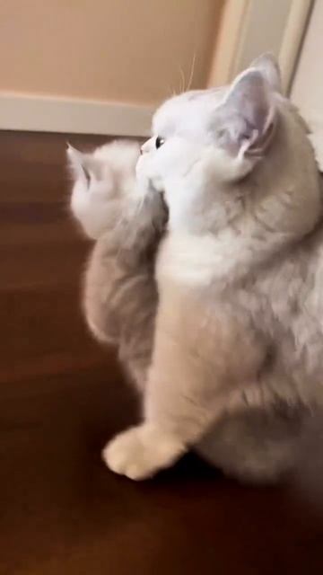 Утро оно такое)