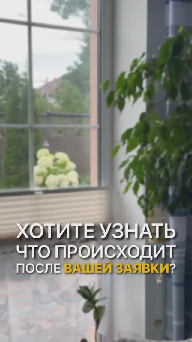 Хотите узнать что происходит после обращения в Жалюзинск?