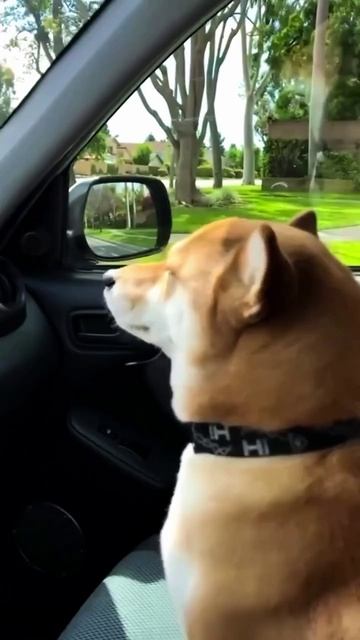 Музыка в машине