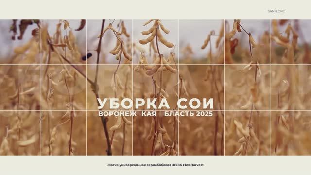 Жатка универсальная зернобобовая SANFLORO ЖУЗБ Flex Harvest уборка сои. Соевая жатка. Claas