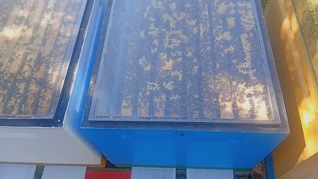 Cf0e0531be5f5a9b1b2344f5735a4a2e