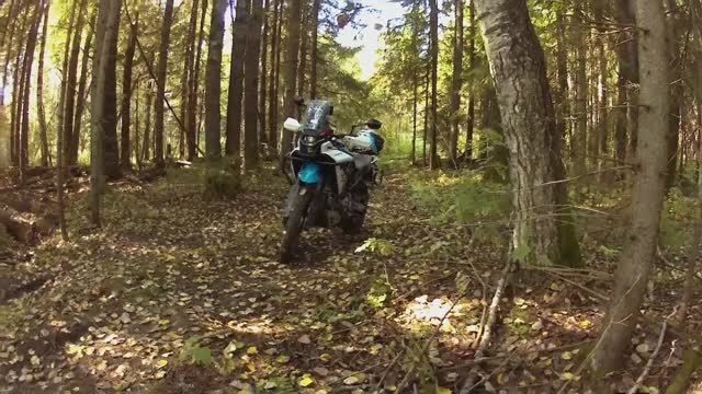 #CFMOTO 450 MT, #БЕЗДОР, #НЕРОНОВО