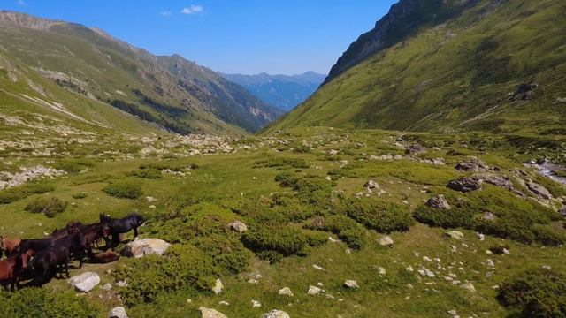 Озеро Уллу Кель.Кавказ 2025