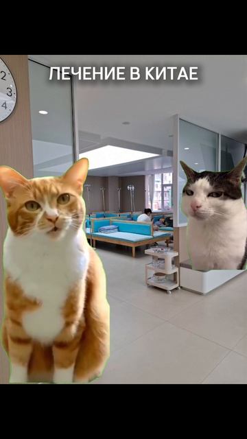 Смешная пародия 😂🩺💉