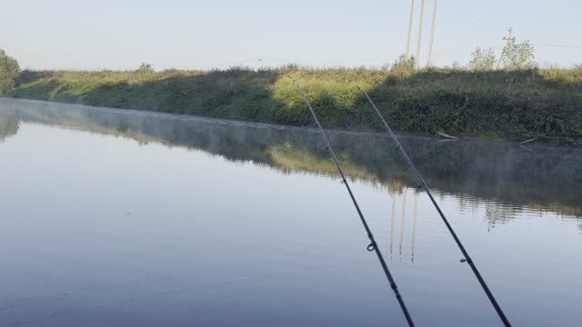 D859f0862eca1411528a5a240930cae8