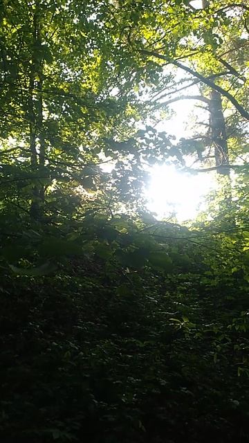 ПРИРОДНАЯ 🌳🌞🌾КРАСОТА!!!