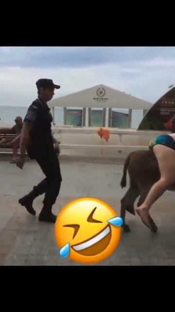 Бизнес такси🙃