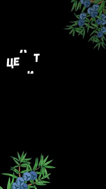 Магические свойства Ивы