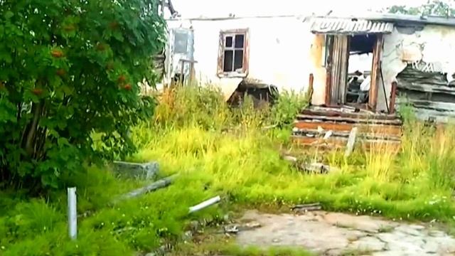 Горячие ручьи 1