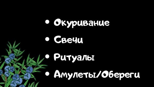Можжевельник. Магические свойства