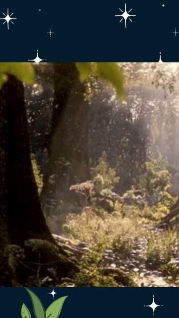 Магические свойства Дуба