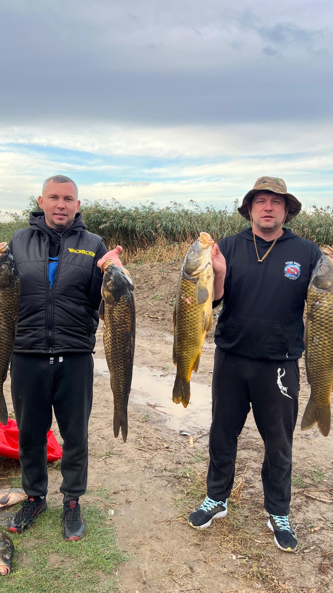 7303b2588b8486ef998ca7e9d96edb8a