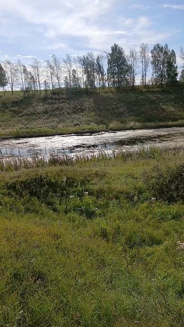 Подсадные утки. Готовимся к состязаниям. Прошёл час.