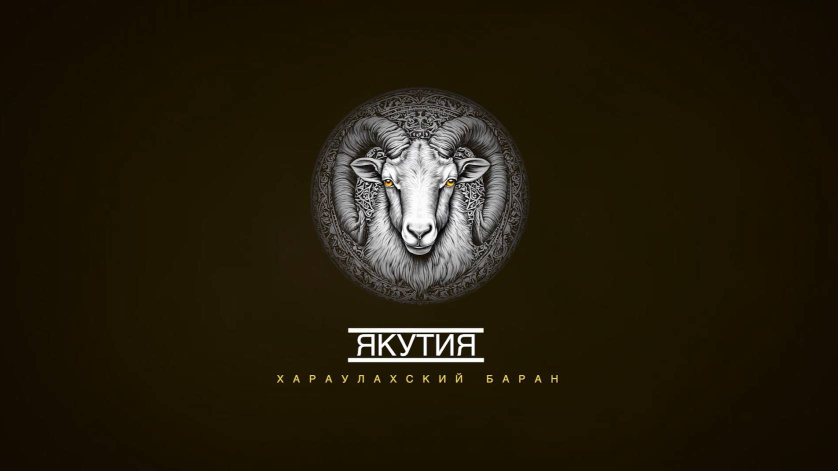 Трофейная охота Якутия. Хараулахский баран.