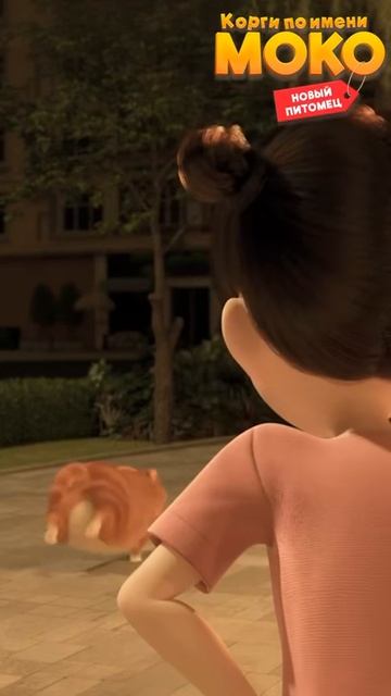 История Моко