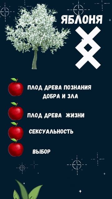 Яблоня. Магические свойства