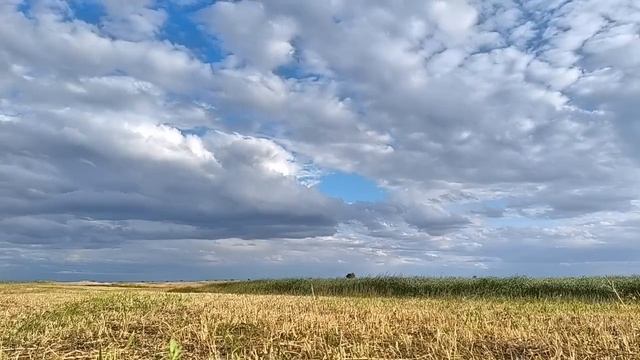 F4e525c7f6b478ada3010dac5df94061